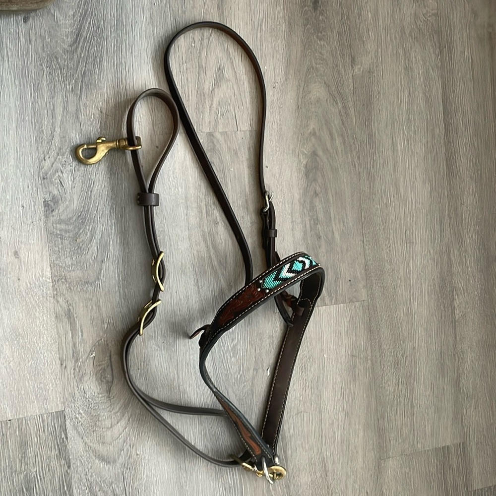 Horse Barrel Racing Tie Down